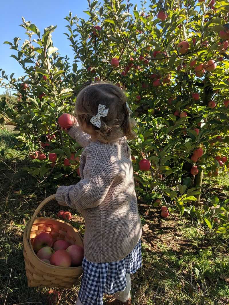 Dickie Brothers Orchard, Roseland, Virginia