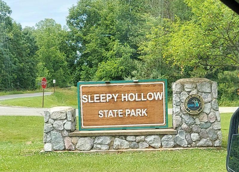 Disc Golf, Bikes, And Family Fun