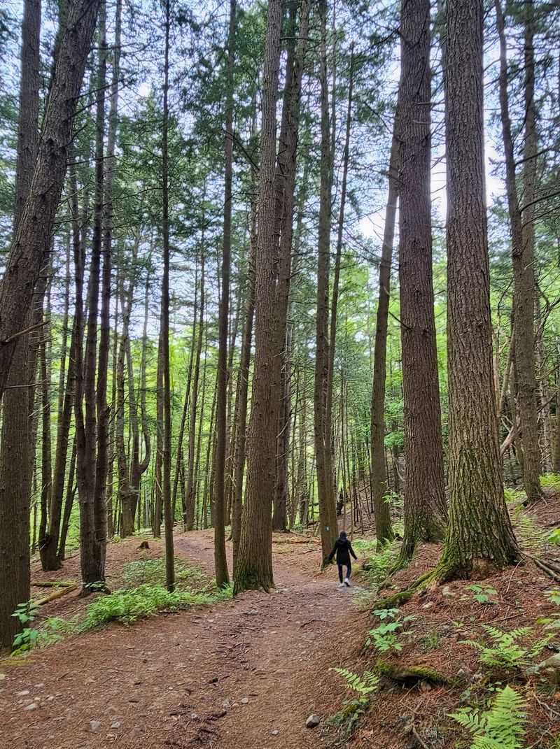 Disc Golf, Playgrounds, and Room to Roam Disc Golf, Playgrounds, and Room to Roam