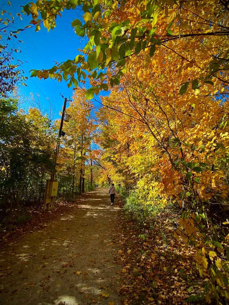 Dog-Friendly Trails With Waste Stations Included
