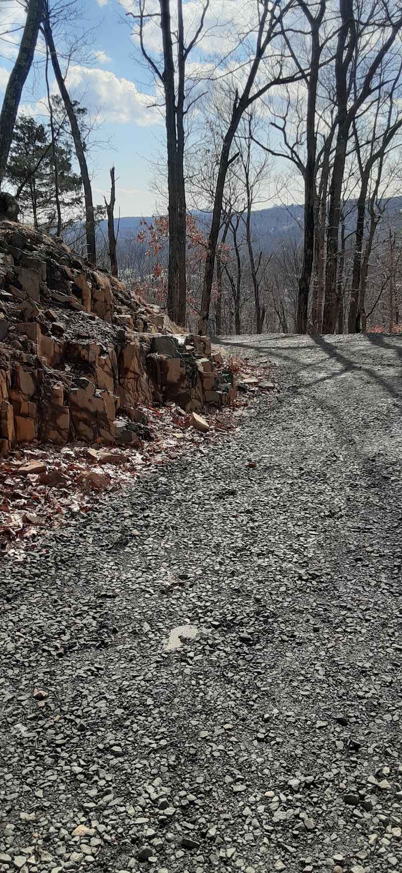 Dogs on the Trail: What You Need to Know Dogs on the Trail: What You Need to Know