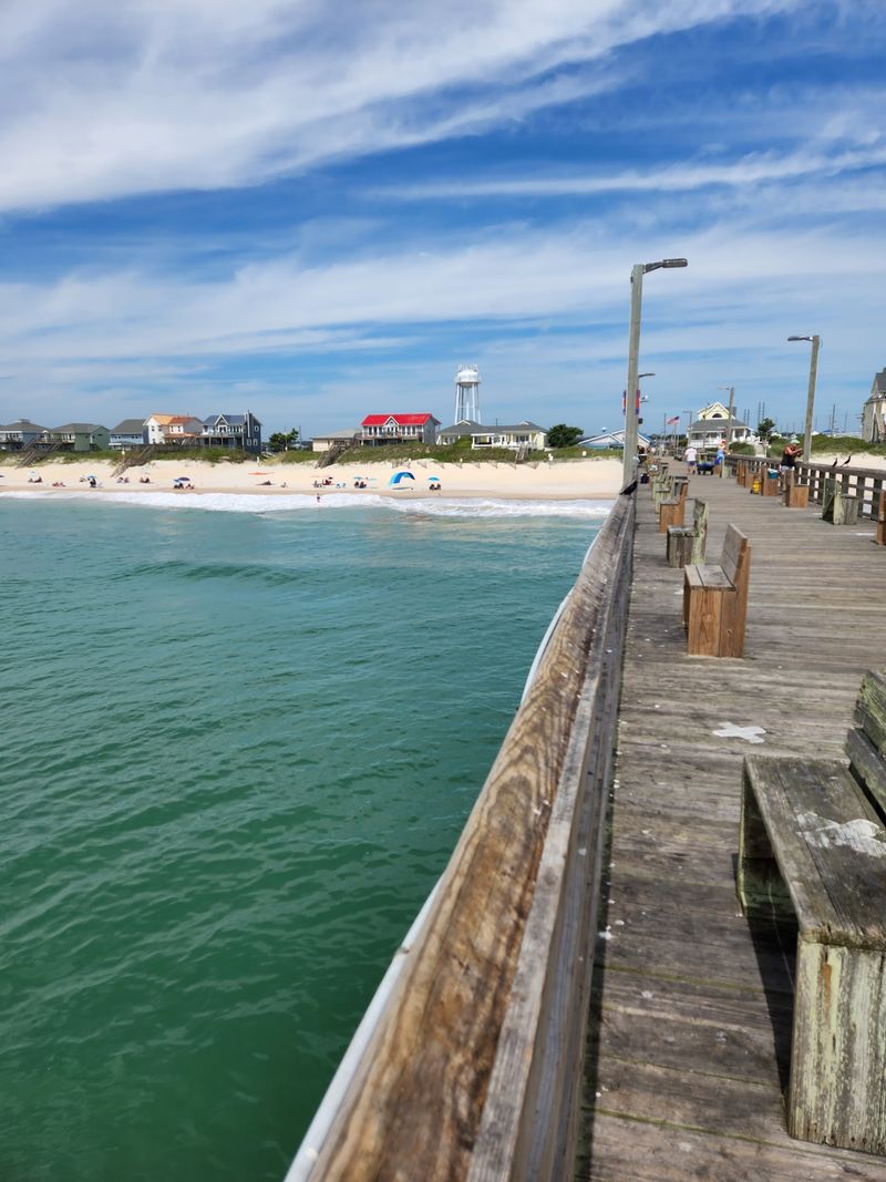 Dolphin Watching in Surf City Dolphin Watching in Surf City