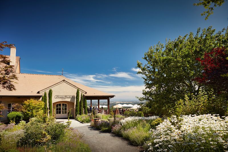 Domaine Drouhin Oregon, Dayton, Oregon