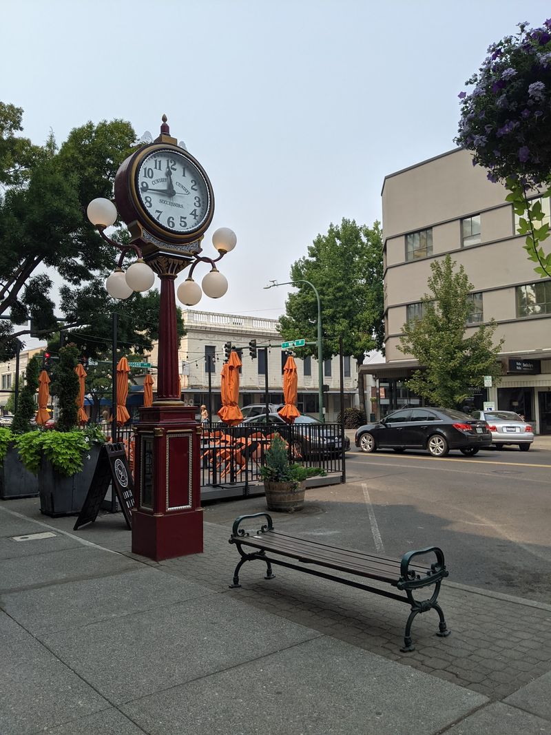 Downtown As The Community Anchor