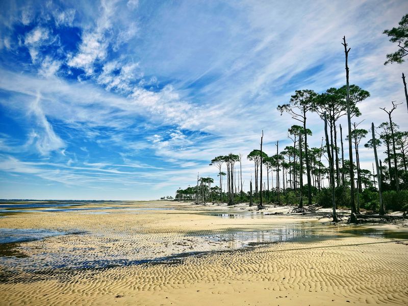 Dr. Julian G. Bruce St. George Island State Park - St. George Island, Florida