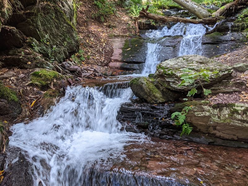 Dunnfield Creek and Its Cool, Clear Water Dunnfield Creek and Its Cool, Clear Water