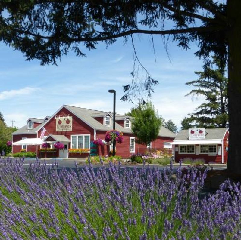 E.Z. Orchards Farm Market, Salem, Oregon
