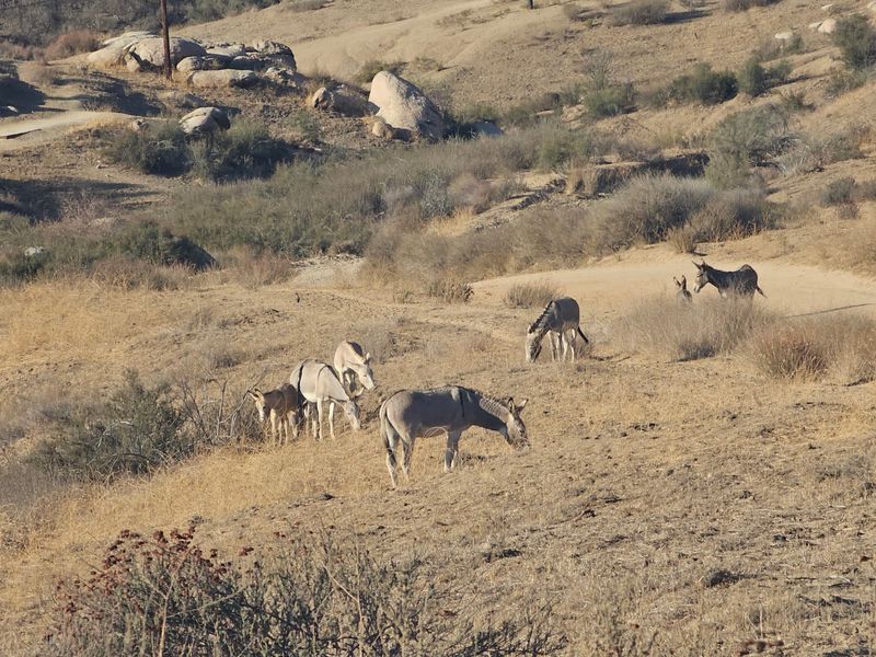 Easy Access to Nature and Nearby Getaways