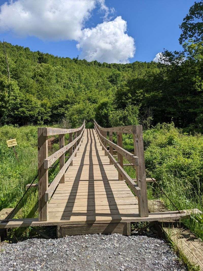 Easy Trails For A Gentler Outing Easy Trails For A Gentler Outing