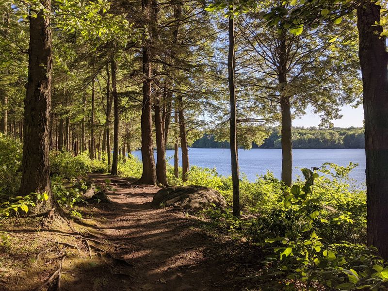 Easy Trails That Circle The Water