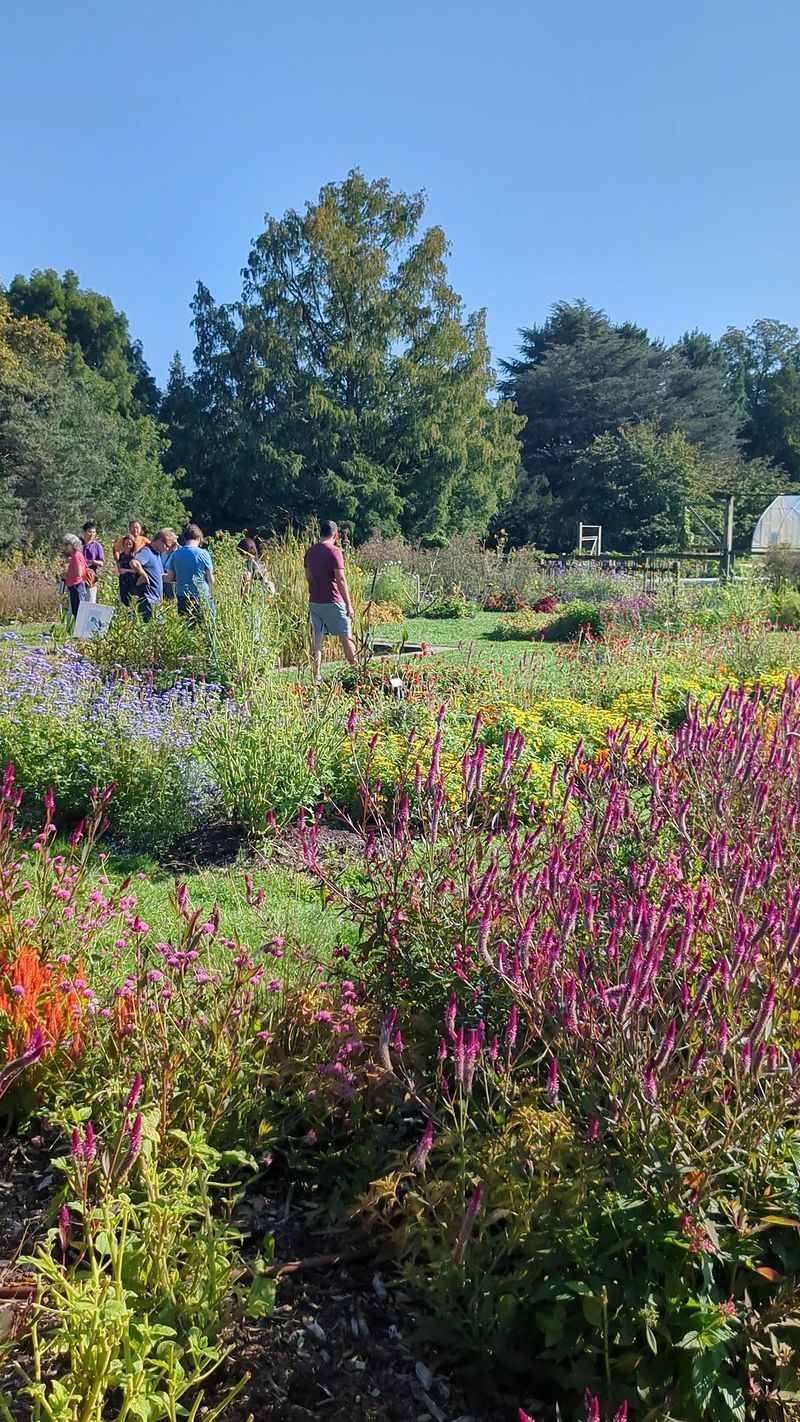 Educational Plant Labels That Teach as You Walk Educational Plant Labels That Teach as You Walk