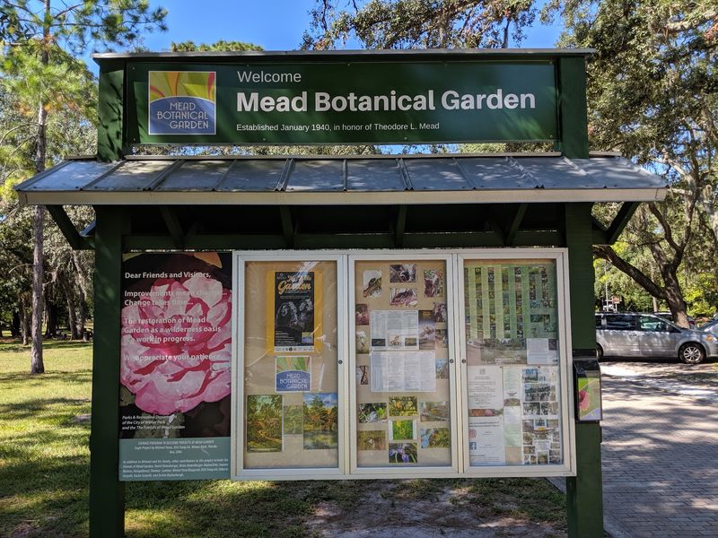 Educational Workshops and Community Events Worth Checking Out