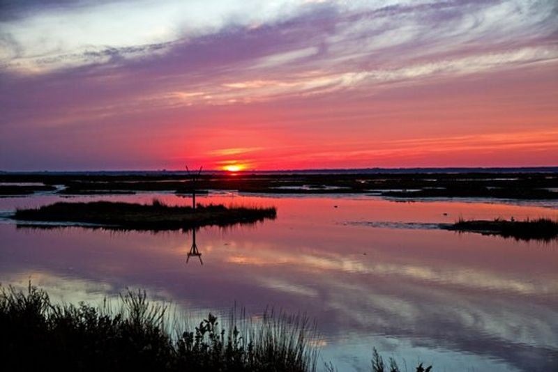 Edwin B. Forsythe National Wildlife Refuge – Galloway, New Jersey Edwin B. Forsythe National Wildlife Refuge – Galloway, New Jersey