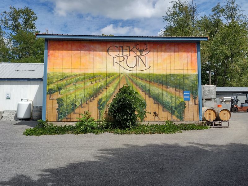 Elk Run Vineyards, Mount Airy, MD
