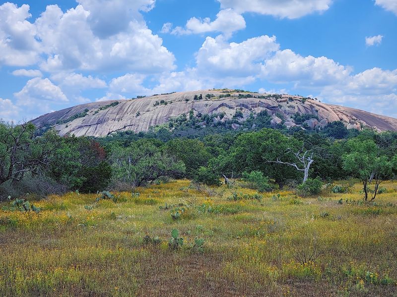 Enchanted Rock State Natural Area, Fredericksburg, Texas