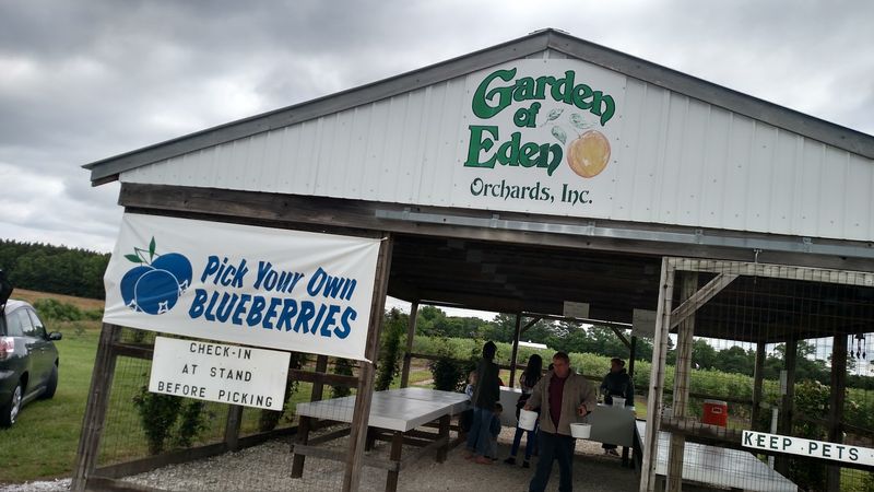 Engel Orchards, Stonewall