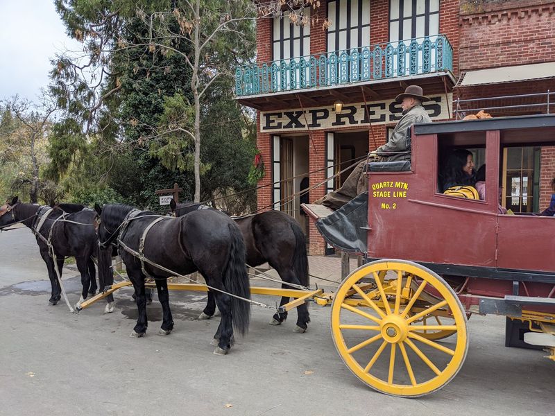 Enjoying the Horse Carriage Ride and Meeting the Horses