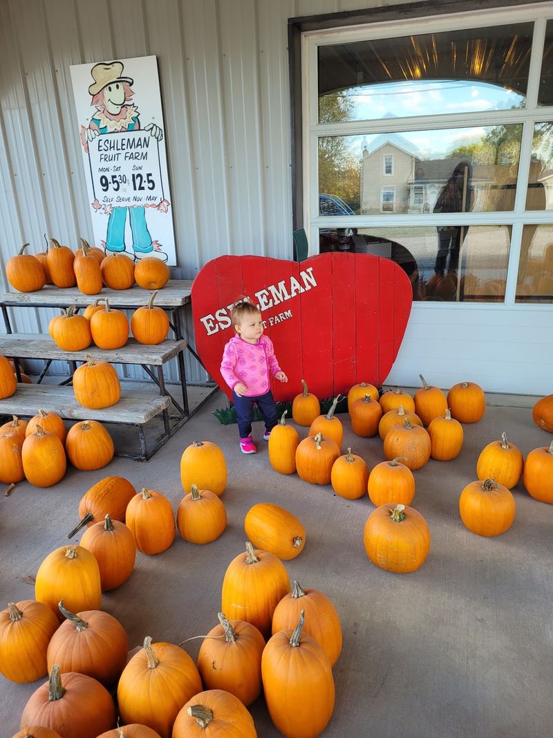 Eshleman Fruit Farm, Clyde, Ohio