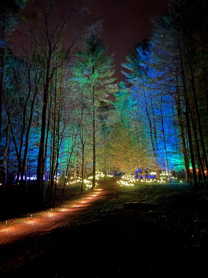 Events, Music, and the Famous Ghost Tours
