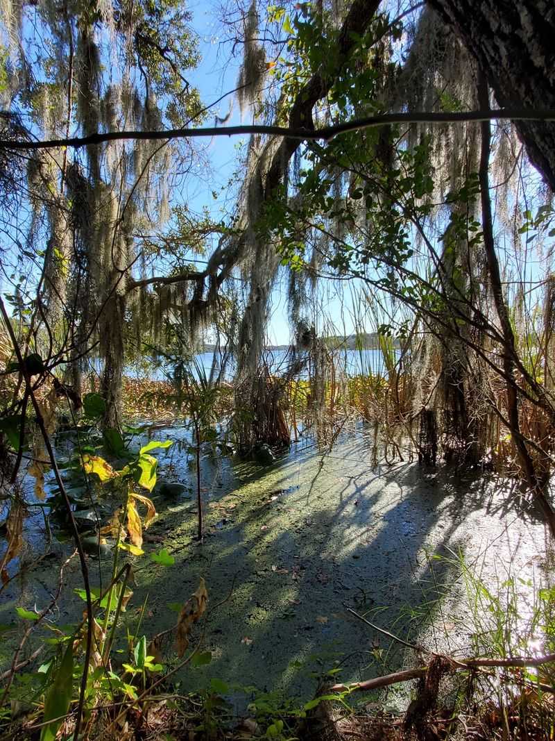 Exploring Hillsborough River State Park Exploring Hillsborough River State Park