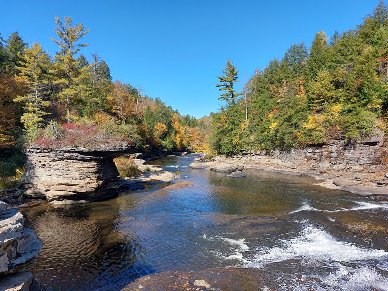 Fall Colors That Make the Forest Look Painted by Hand