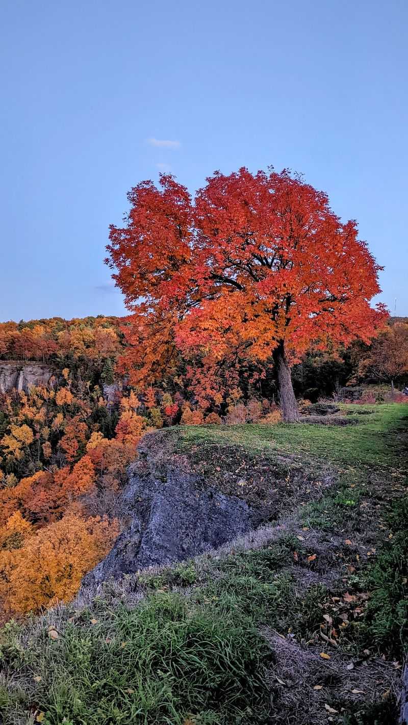 Fall Colors and the Best Seasons to Go