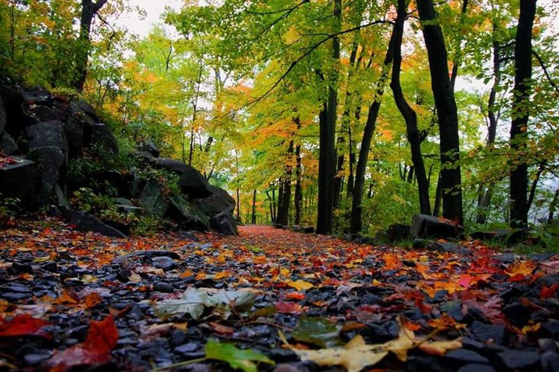 Fall Foliage Hiking at Its Finest Fall Foliage Hiking at Its Finest
