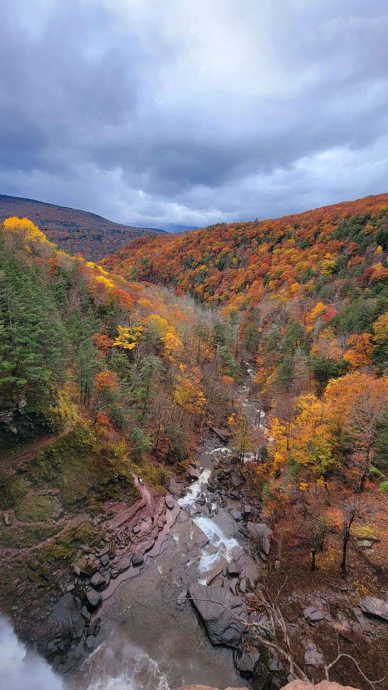 Fall Foliage Turns the Gorge Golden Fall Foliage Turns the Gorge Golden