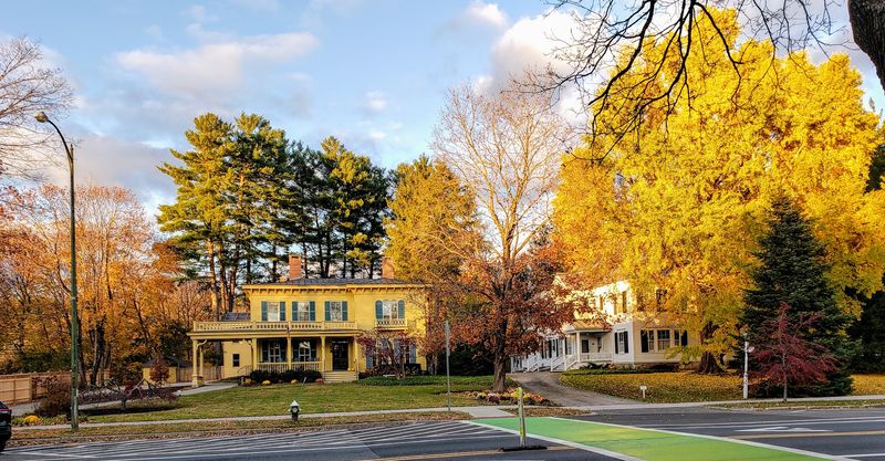 Fall Foliage and Outdoor Shopping Appeal