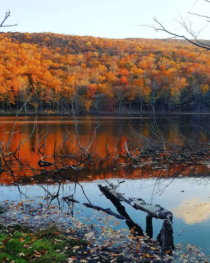 Fall Foliage and the Best Times to Go