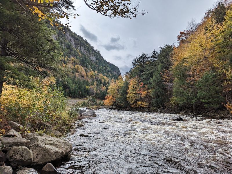 Fall Foliage and the Best Times to Go Fall Foliage and the Best Times to Go