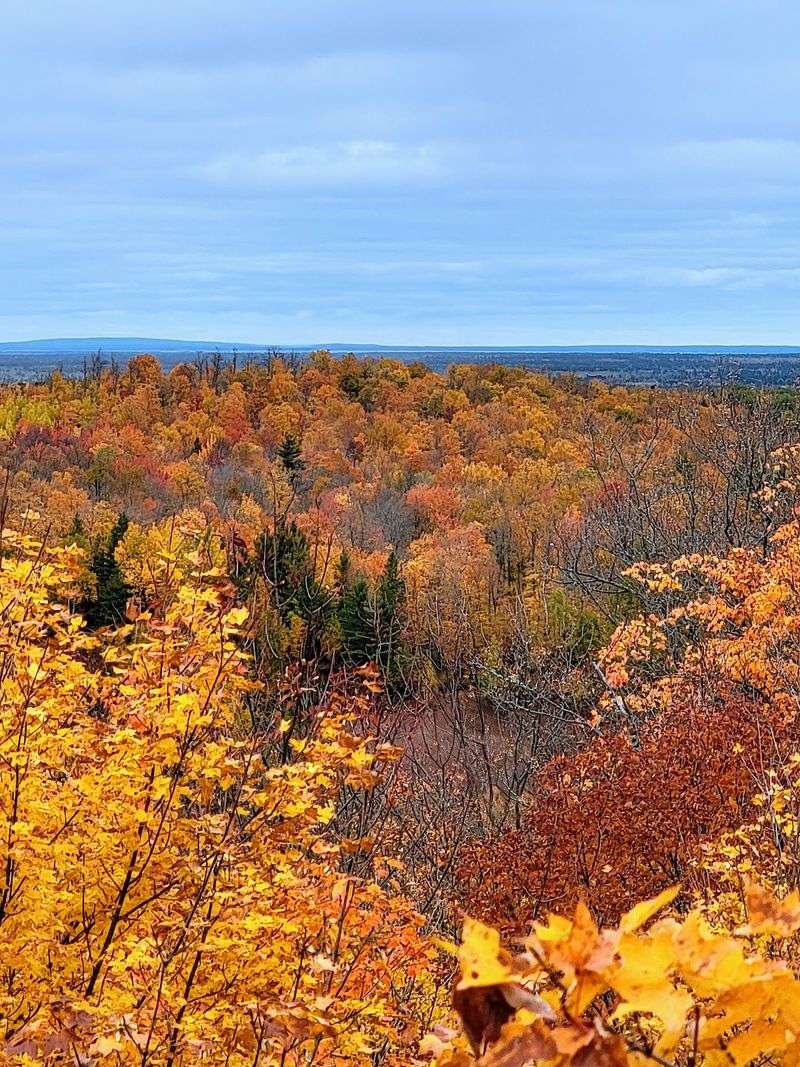 Falling for the Autumn Colors
