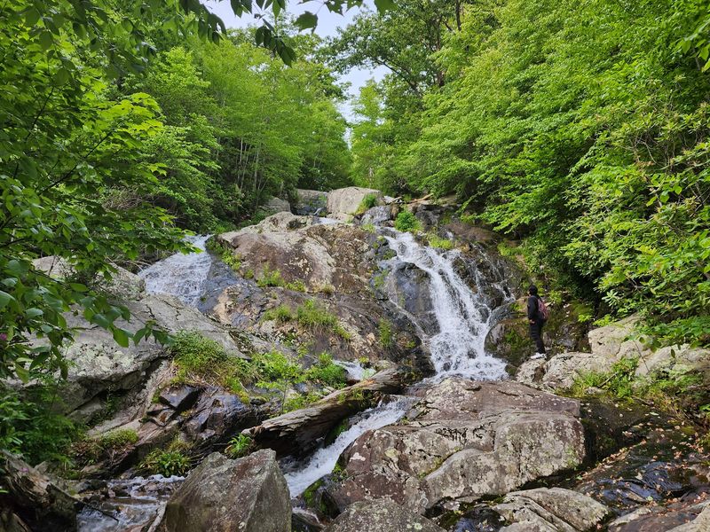 Fallingwater Cascades, Peaks of Otter, Virginia