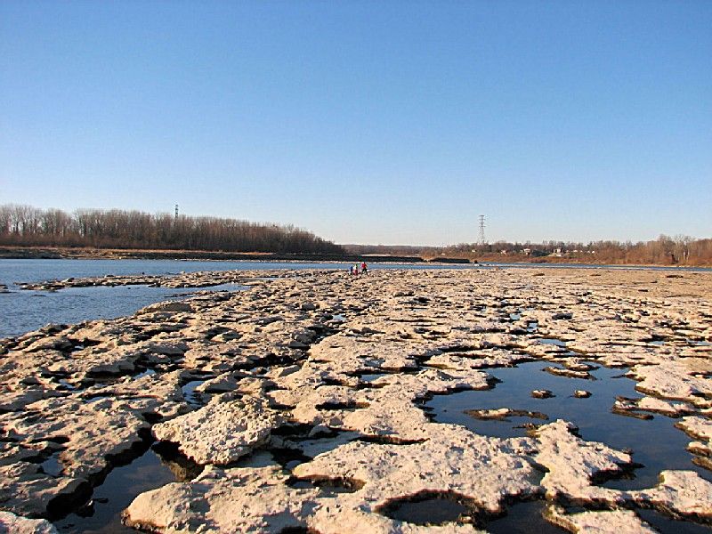 Falls of the Ohio State Park, Clarksville, Indiana