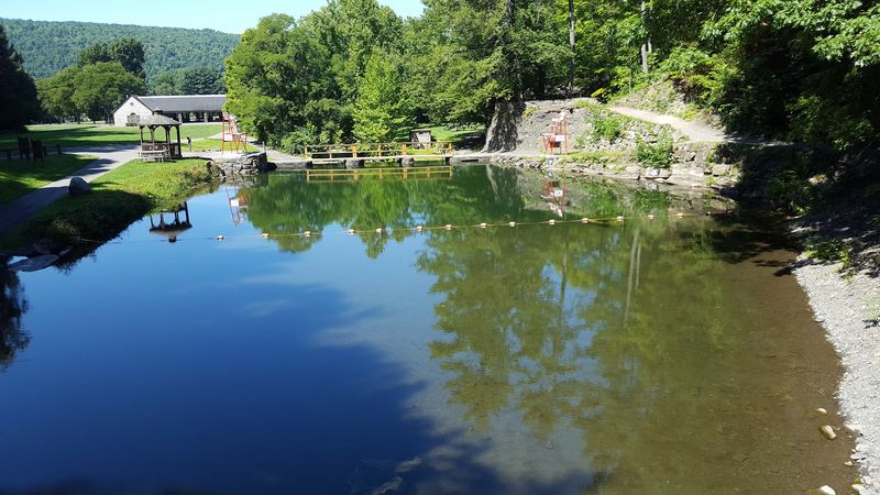 Family-Friendly Picnics and Play