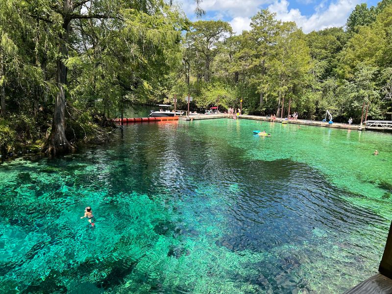 Fanning Springs, Fanning Springs State Park