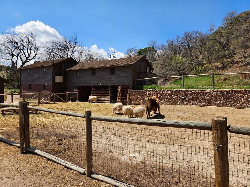 Farm Animals That Delight Visitors of All Ages