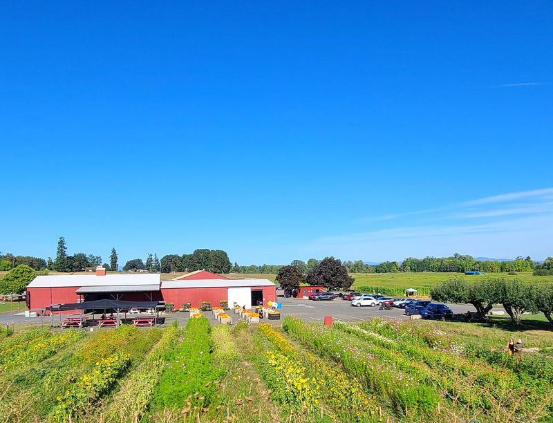 Farm Stands Overflowing With Fresh Local Goodness