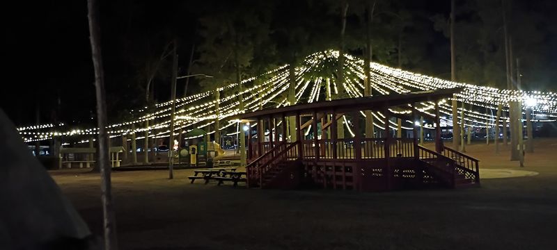 Festival Stands at the Georgia Peanut Festival, Sylvester
