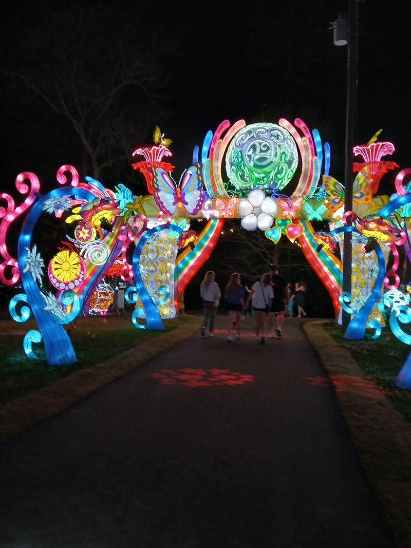 Festivals and Seasonal Magic