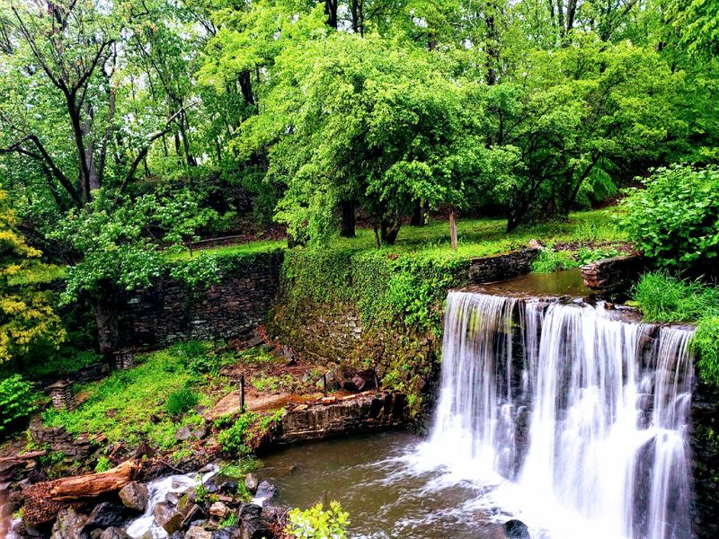 Finding Peace at the Swan Creek Nature Preserve Finding Peace at the Swan Creek Nature Preserve