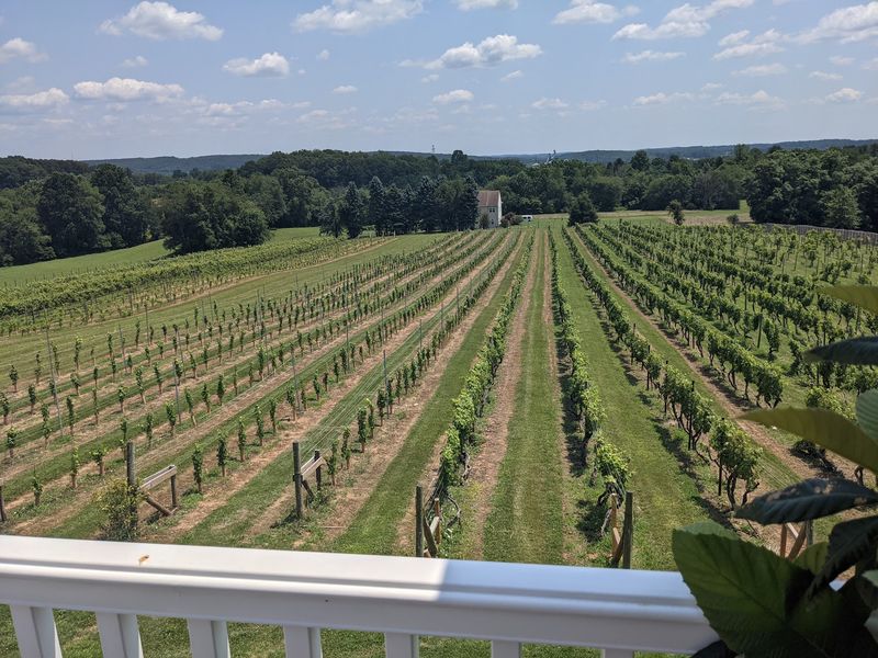 Fiore Winery, Pylesville, MD
