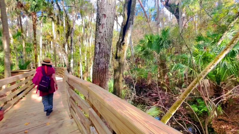 Firefly Season and Overnight Camping Adventures