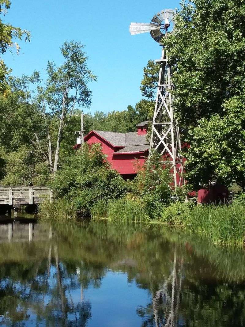 Fishing, Birding, and Family Photos