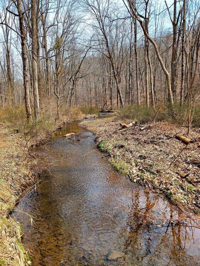 Fishing, Picnics, And Quiet Corners