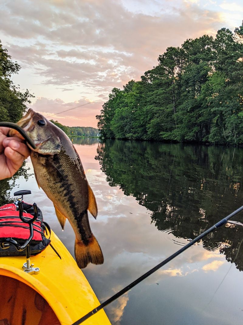 Fishing, The Pond, And The Camp Store