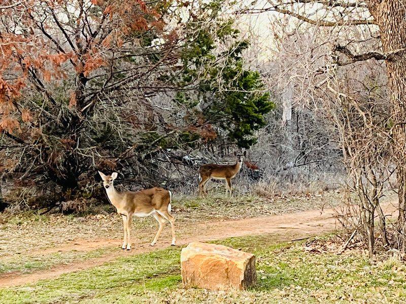 Fishing, Wildlife, and Small Surprises