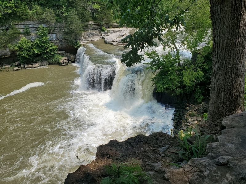 Fishing and Wildlife Along the Creek