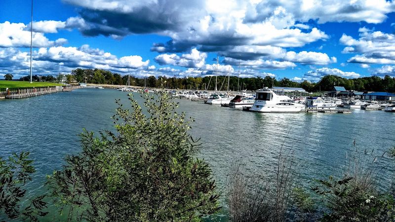 Fishing and the Marina Scene