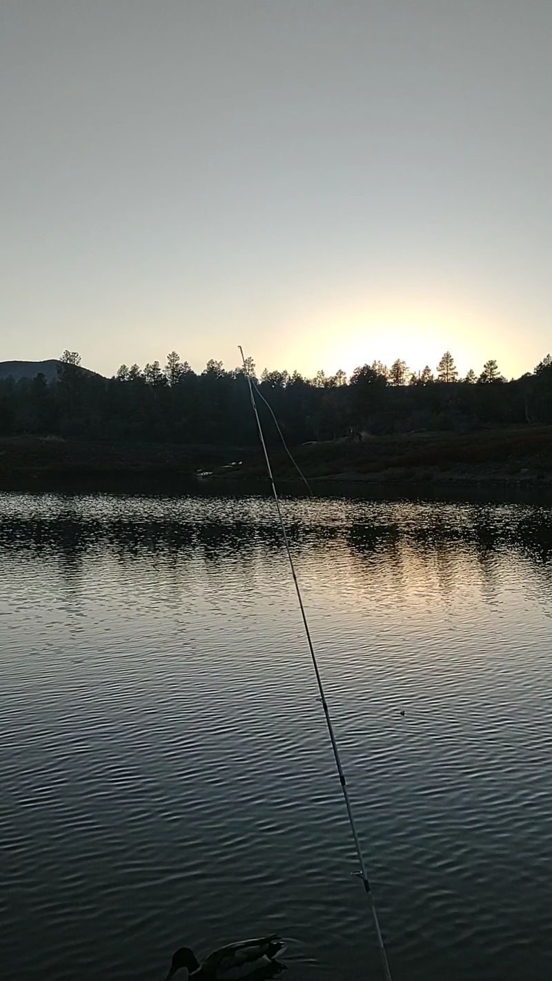 Fishing at Lynx Lake